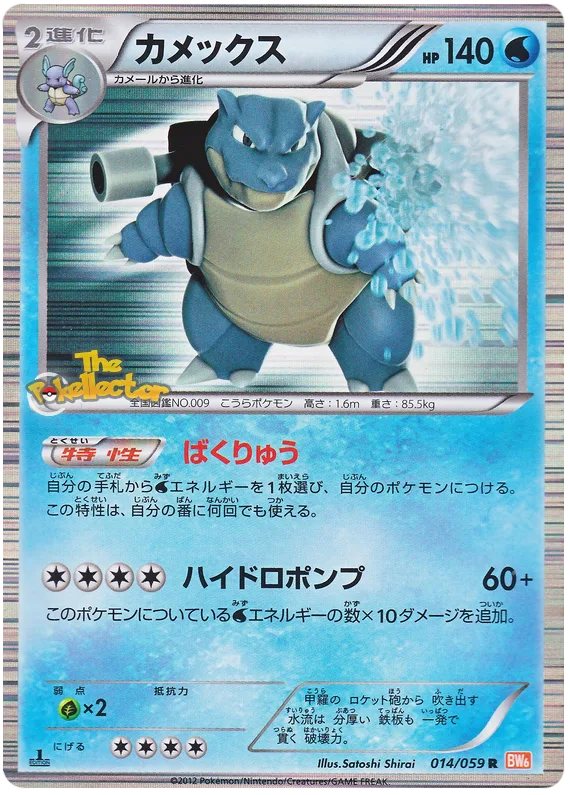 カメックス