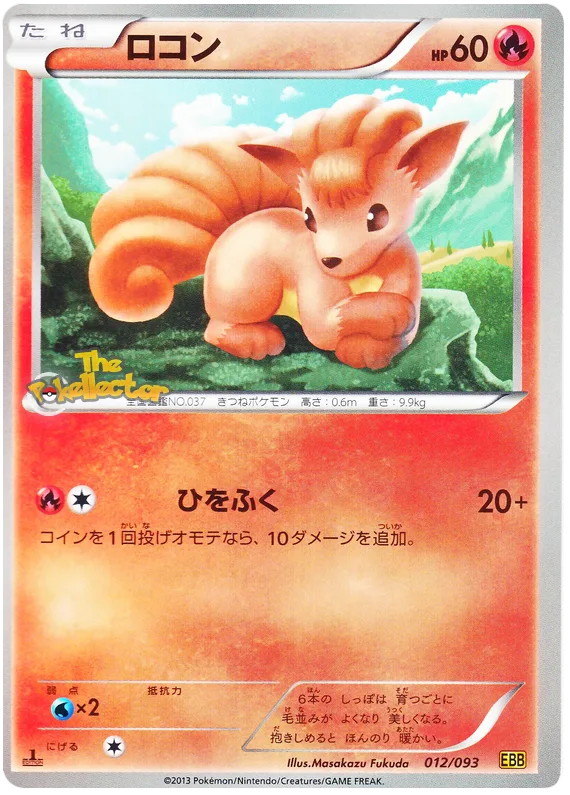 ロコン
