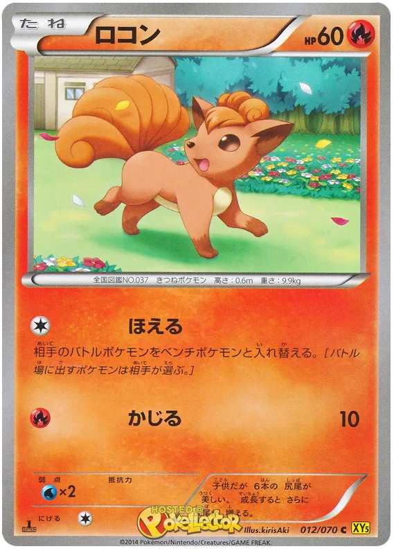 ロコン
